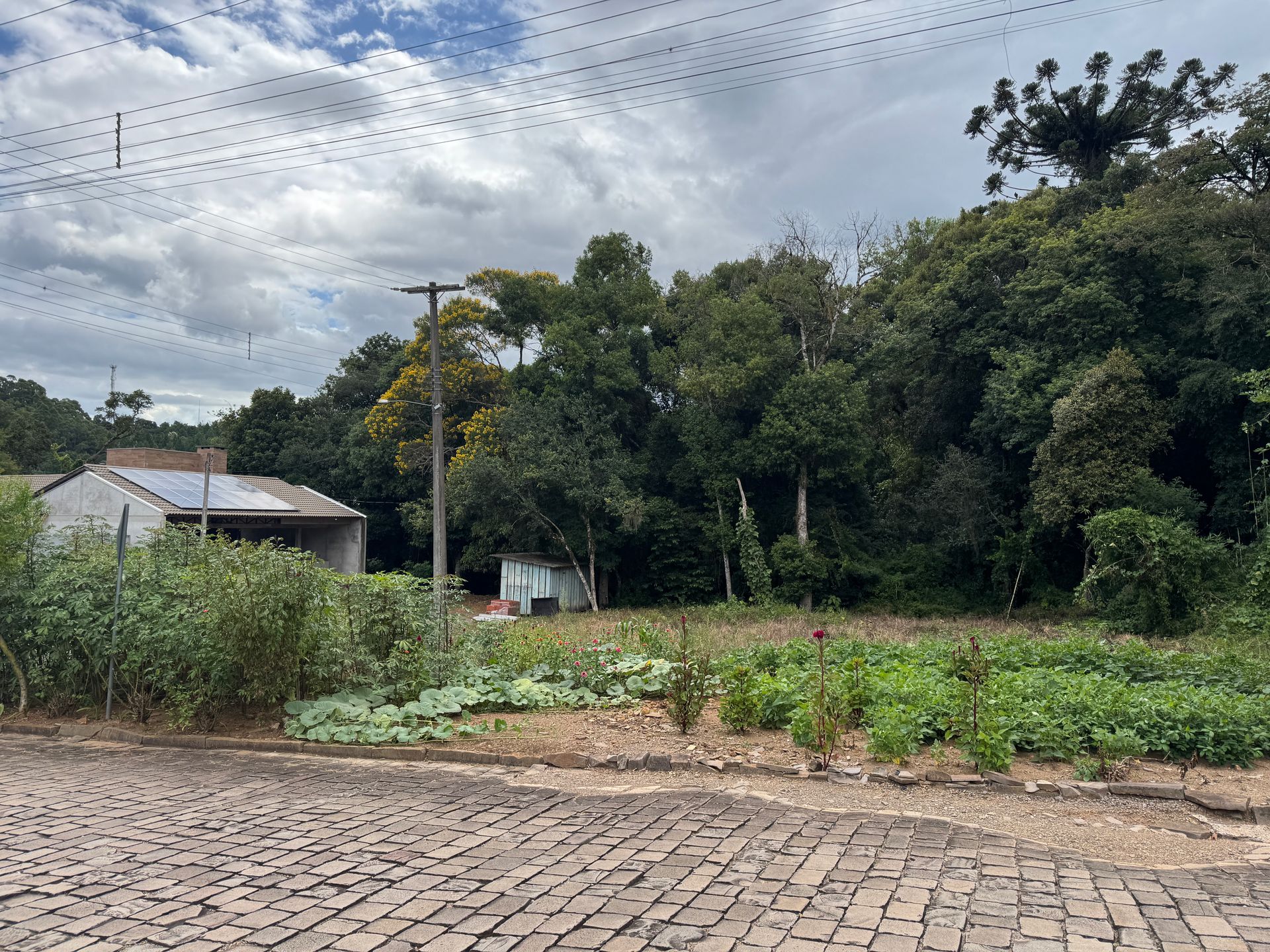 Lote para venda no bairro Centro em Nova Prata