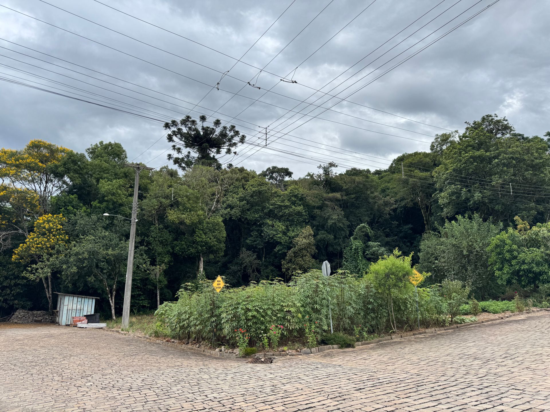 Lote para venda no bairro Centro em Nova Prata