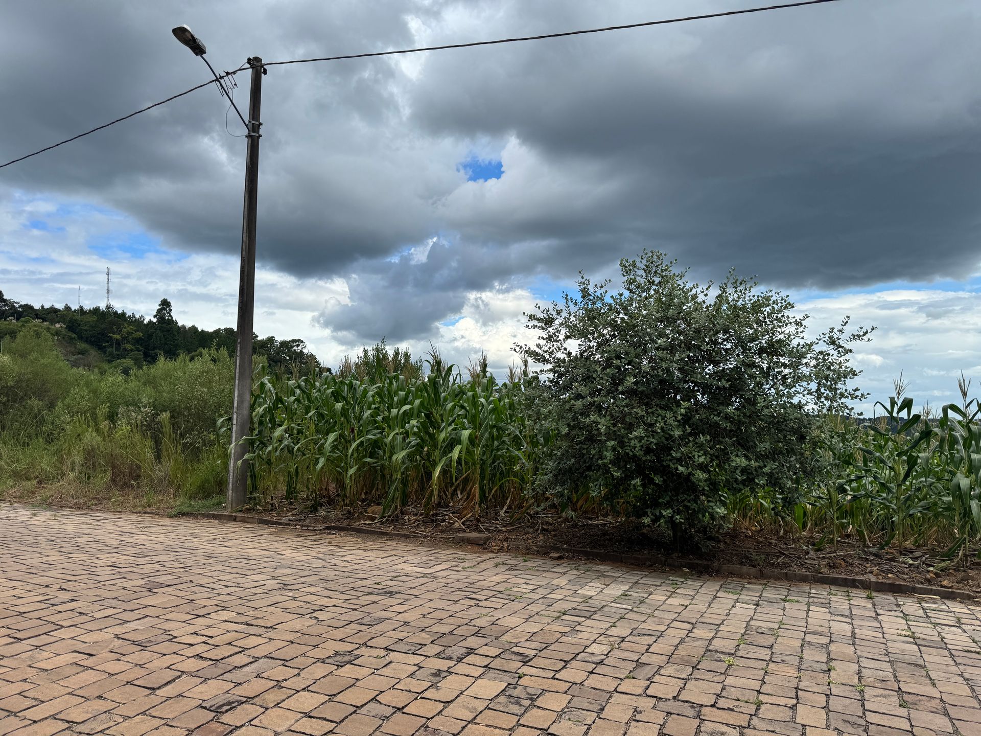Lote para venda no bairro São João Bosco em Nova Prata