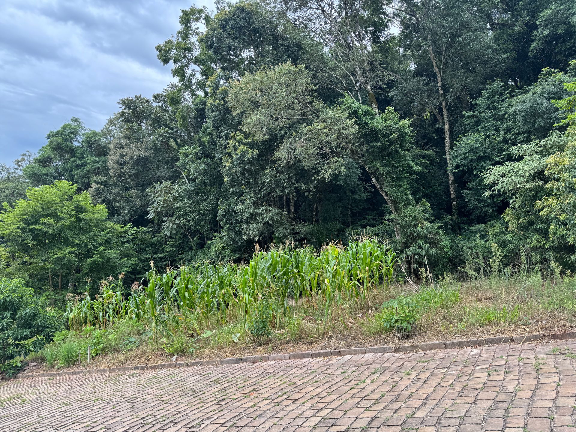 Lote para venda no bairro São João Bosco em Nova Prata