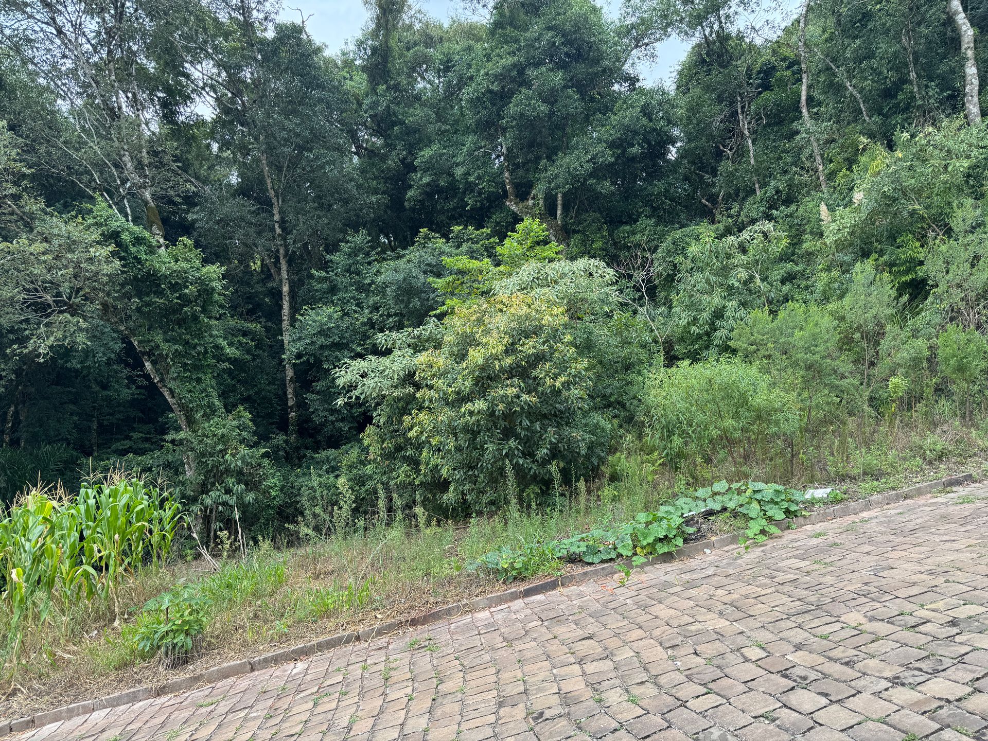 Lote para venda no bairro São João Bosco em Nova Prata