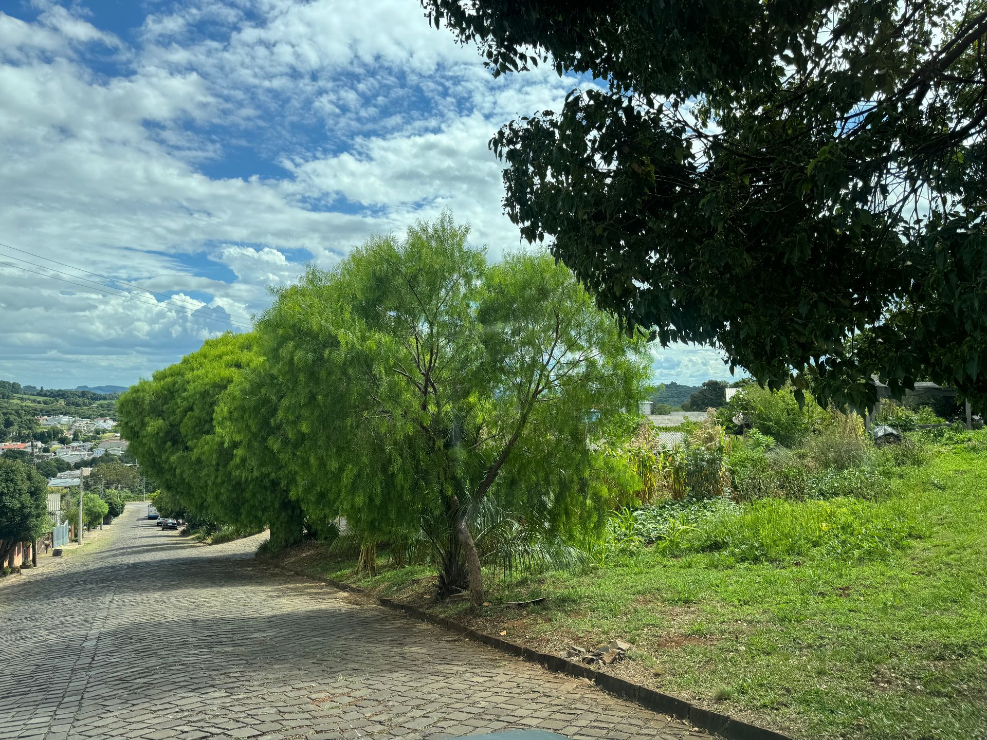 Lote para venda no bairro Basalto em Nova Prata
