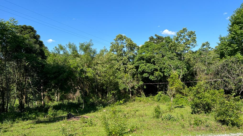 Terreno para venda no bairro Carazal em Gramado