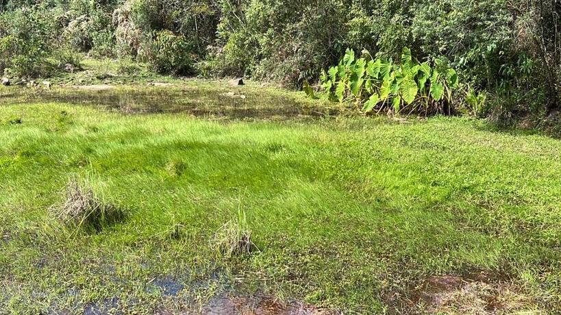 Terreno para venda no bairro Carazal em Gramado