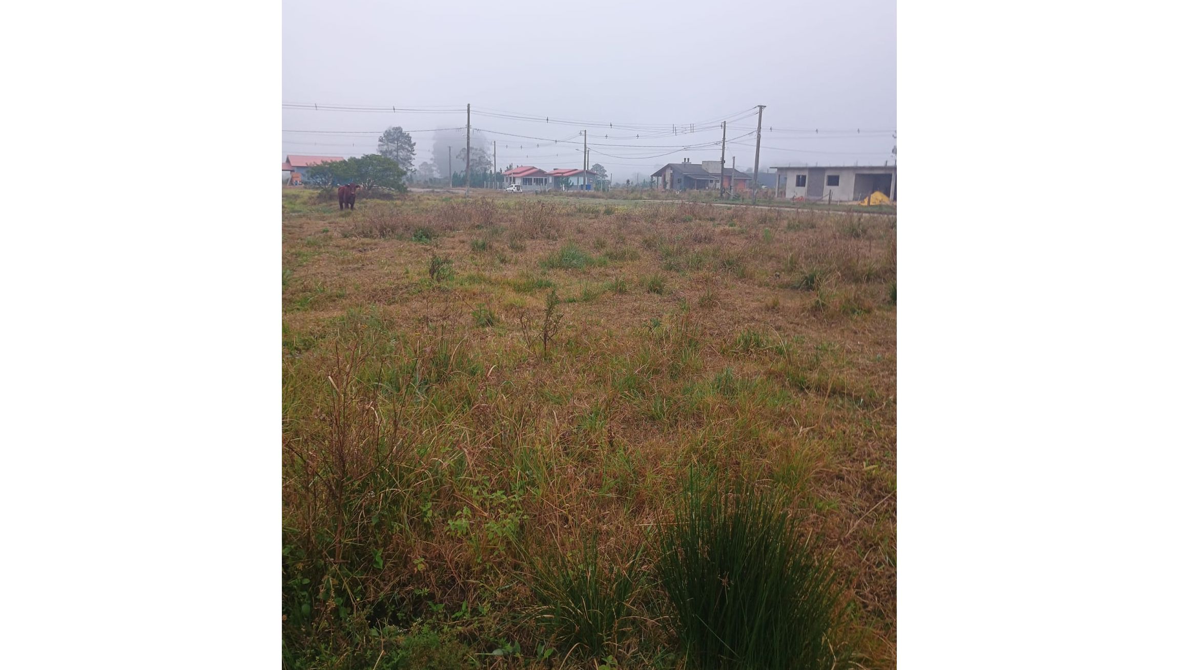 Terreno para venda no bairro Vila São João em Torres
