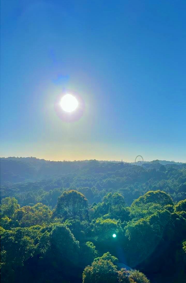 Apartamento 1 quarto sendo 1 suíte para venda no bairro Carniel em Gramado