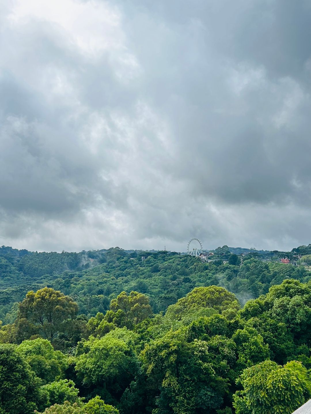 Apartamento 1 quarto sendo 1 suíte para venda no bairro Carniel em Gramado