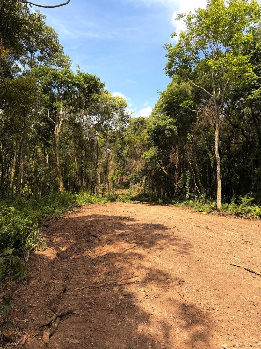 Chácara, 3 hectares - Foto 2