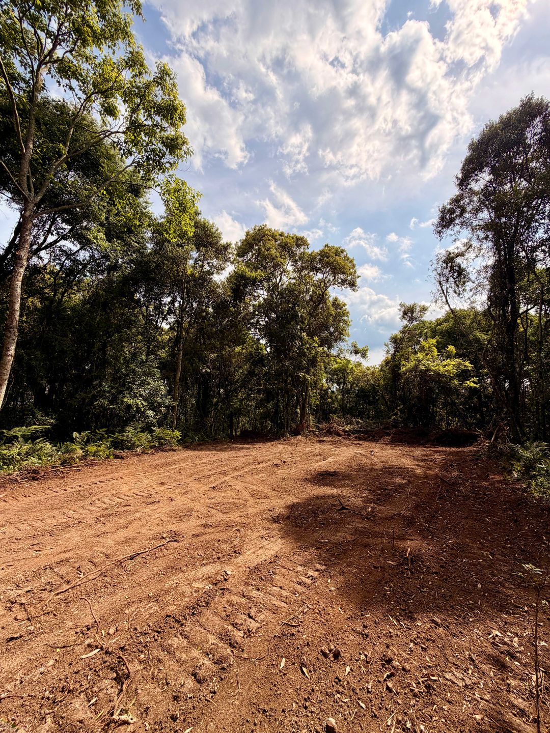 Chácara, 3 hectares - Foto 1