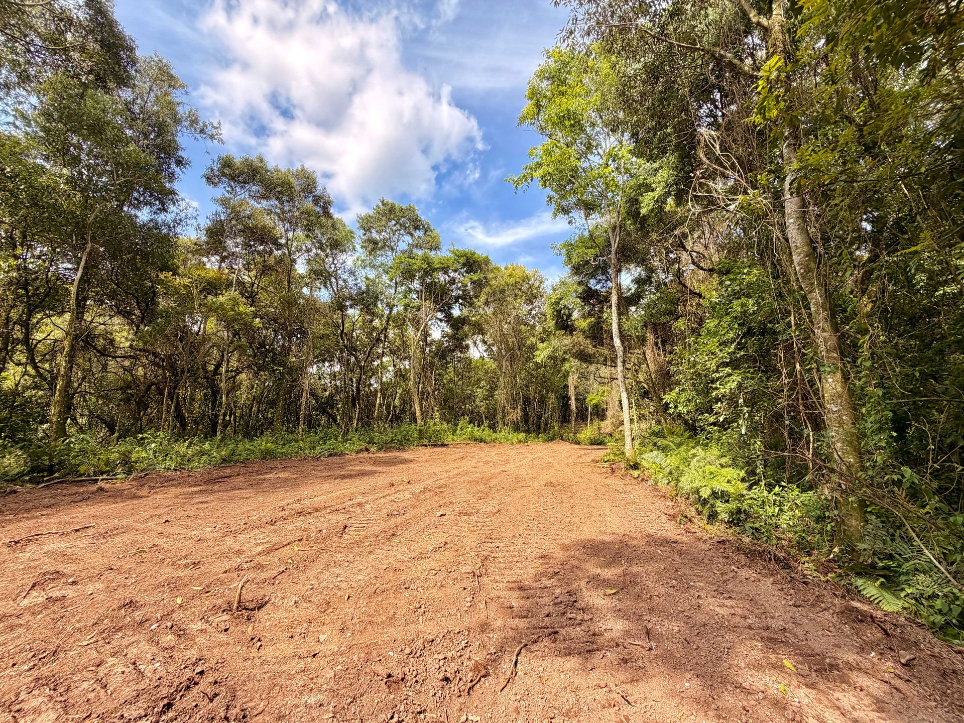 Chácara, 3 hectares - Foto 3