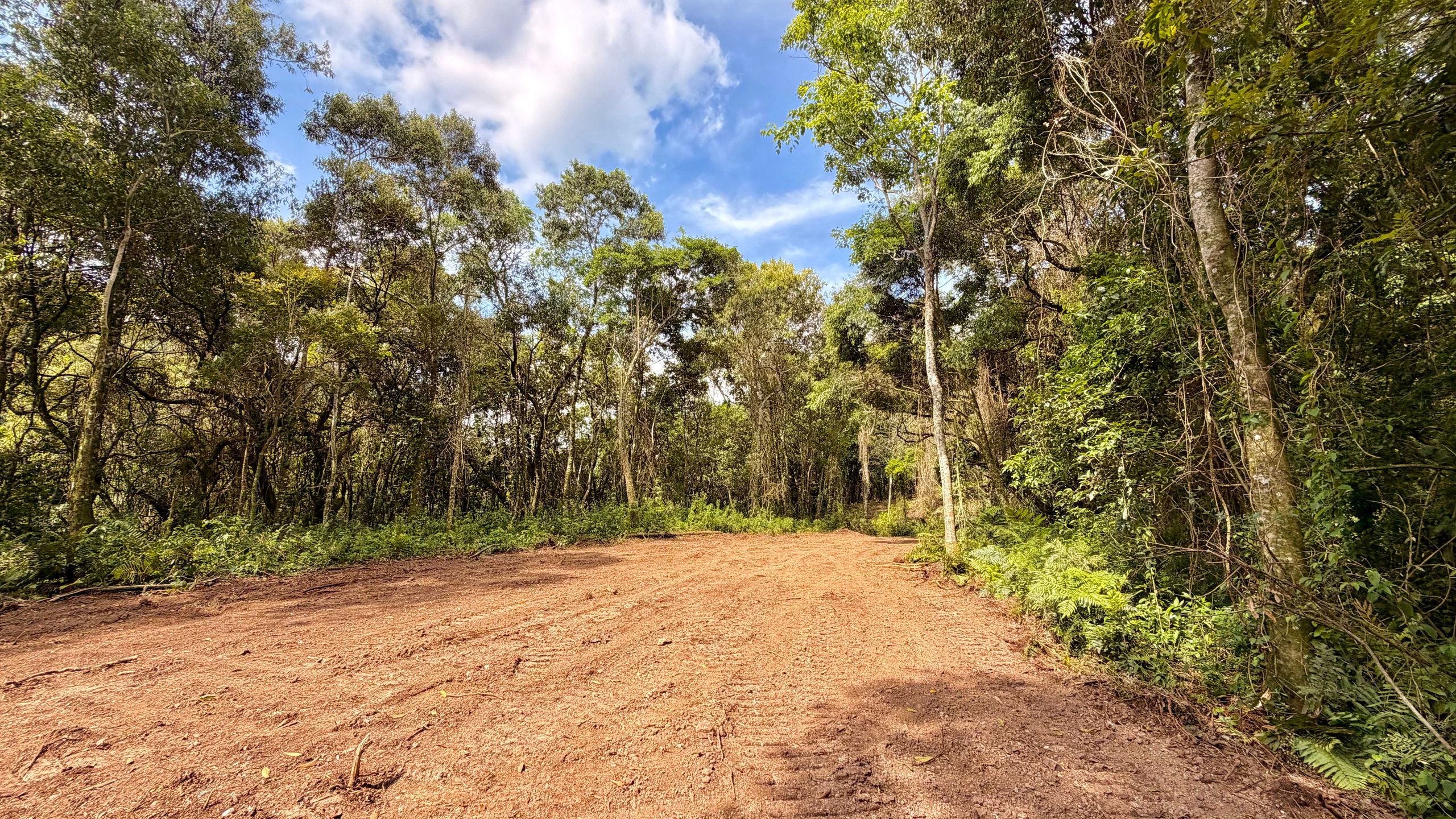 Chácara para venda no bairro Fazenda Souza em Caxias do Sul
