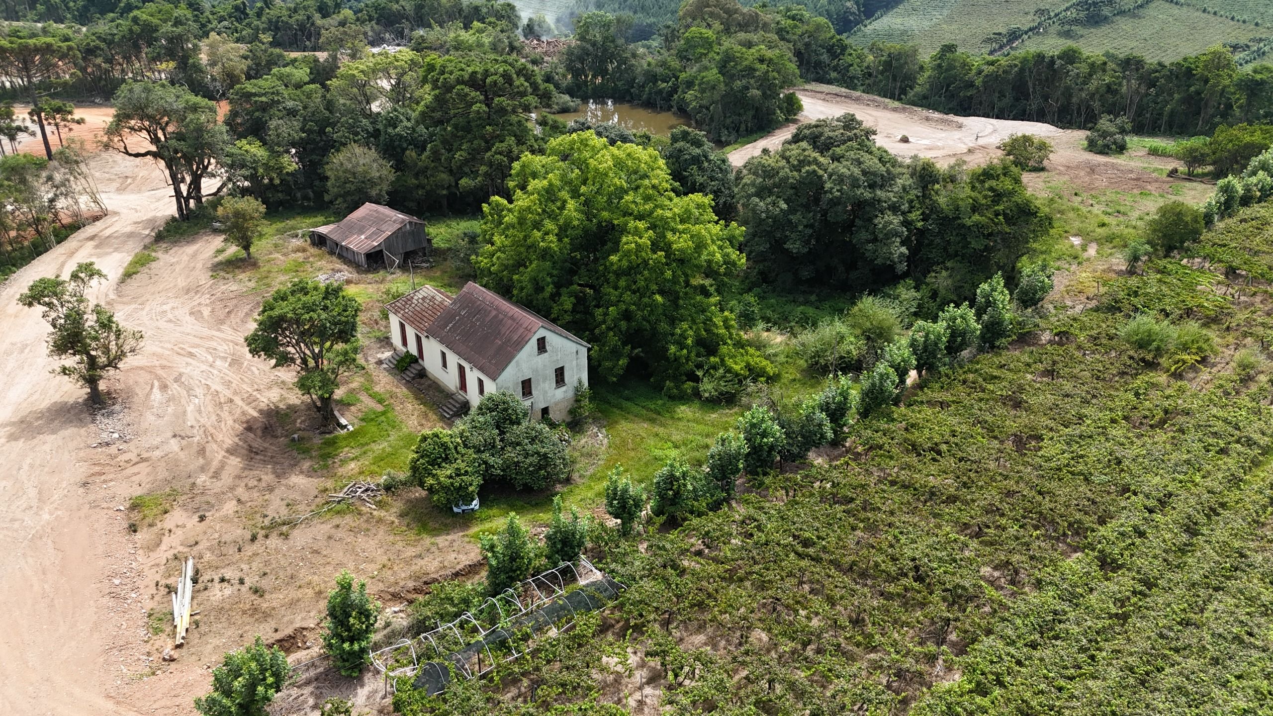 Lote para venda no bairro Linha Paulina em Bento Gonçalves