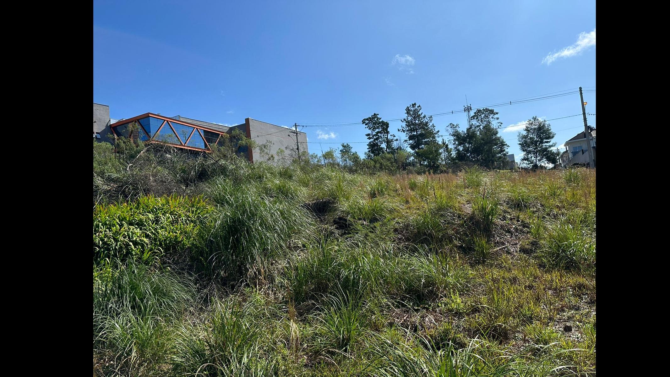 Terreno para venda no bairro São Luiz em Caxias do Sul