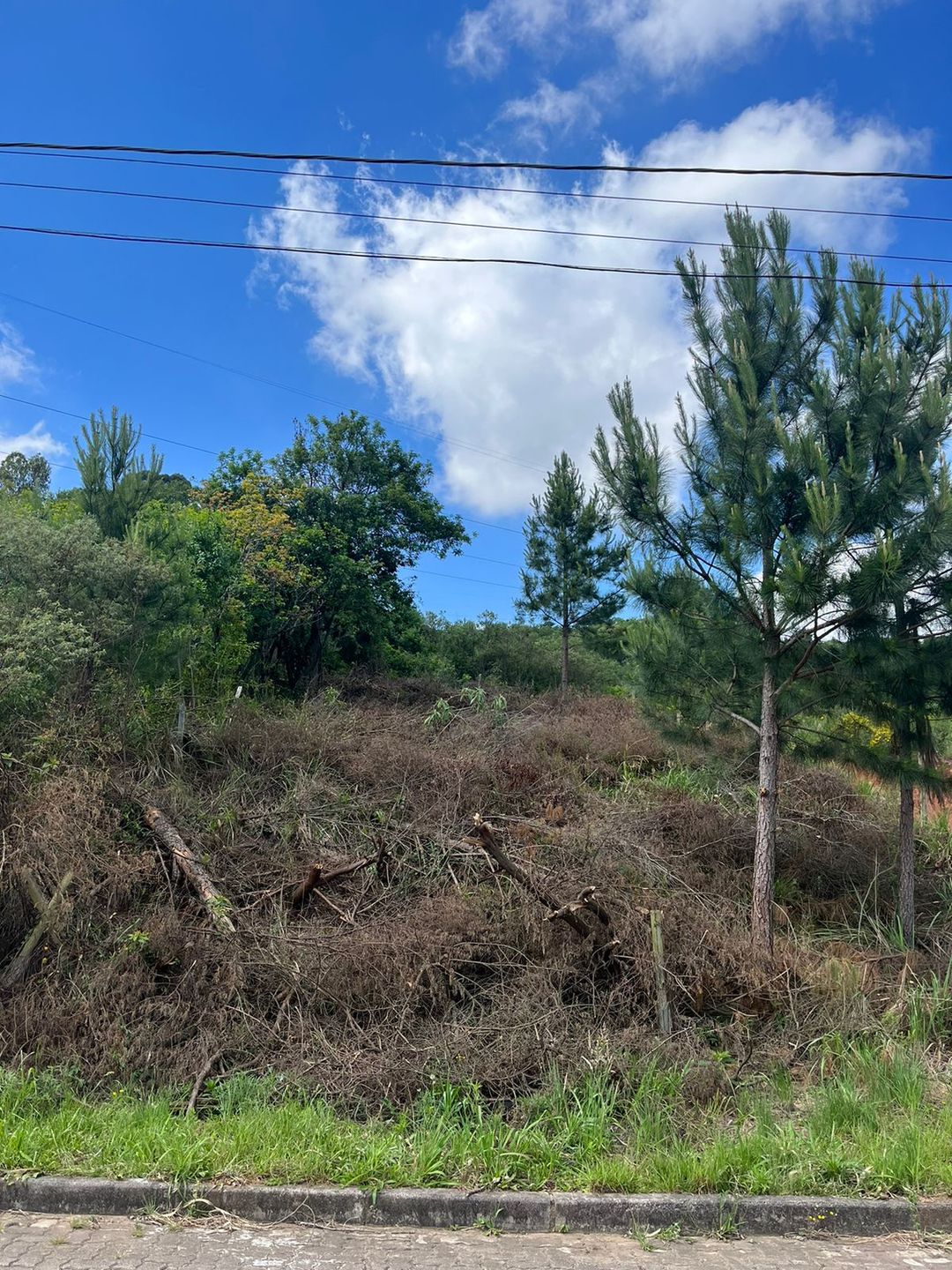 Terreno Padrão para venda no bairro Nossa Senhora da Saúde em Caxias do Sul