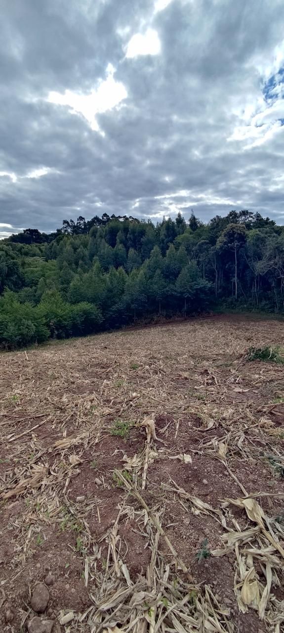 Chácara para venda no bairro Área Rural em Nova Petrópolis