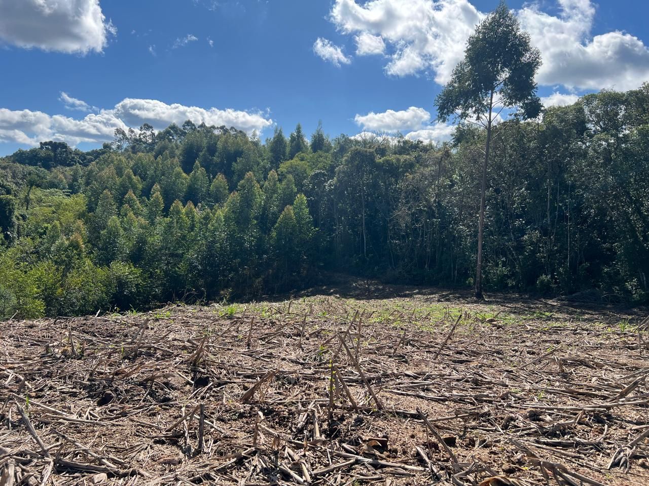 Chácara para venda no bairro Área Rural em Nova Petrópolis