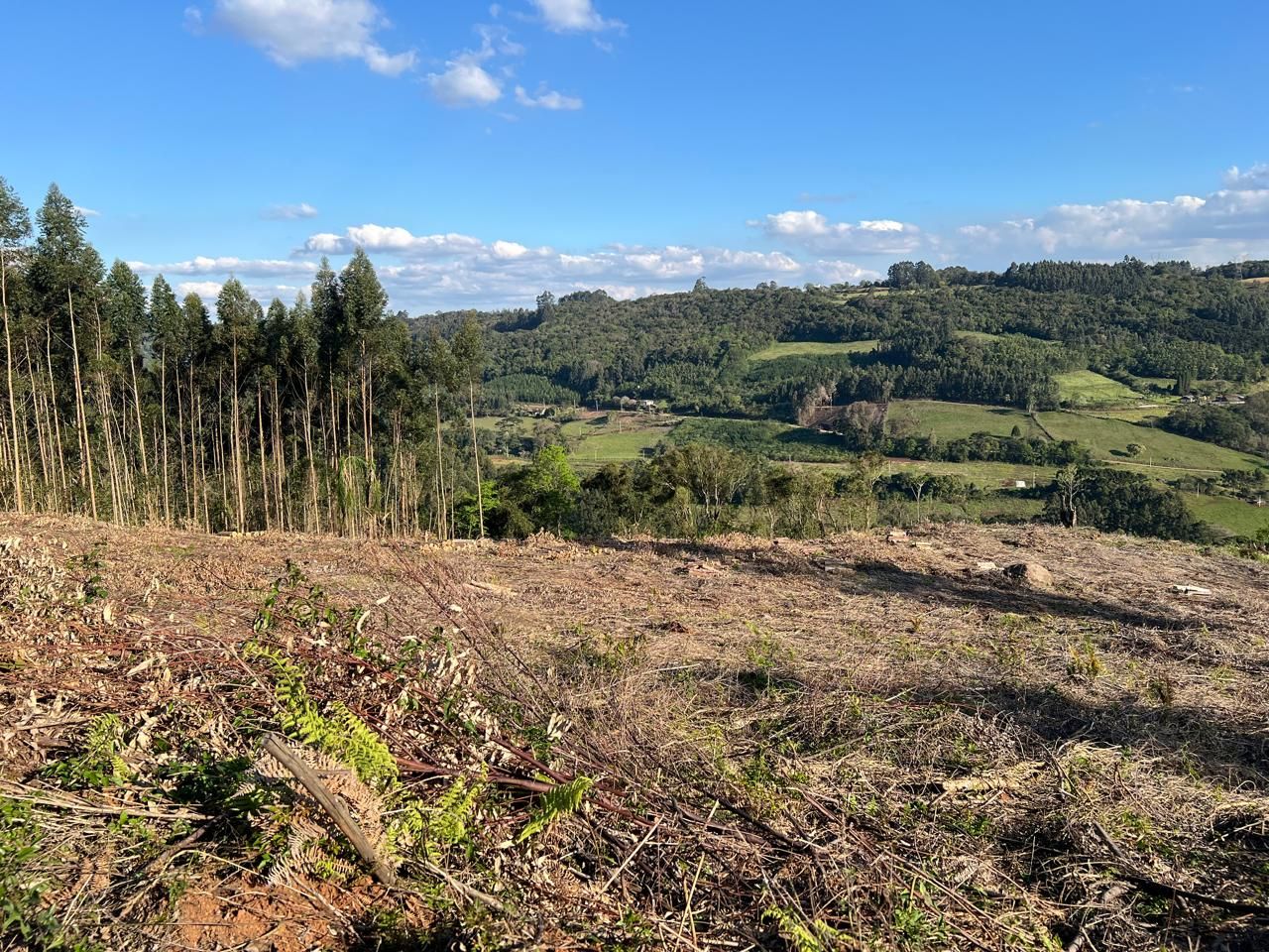 Chácara para venda no bairro Área Rural em Nova Petrópolis