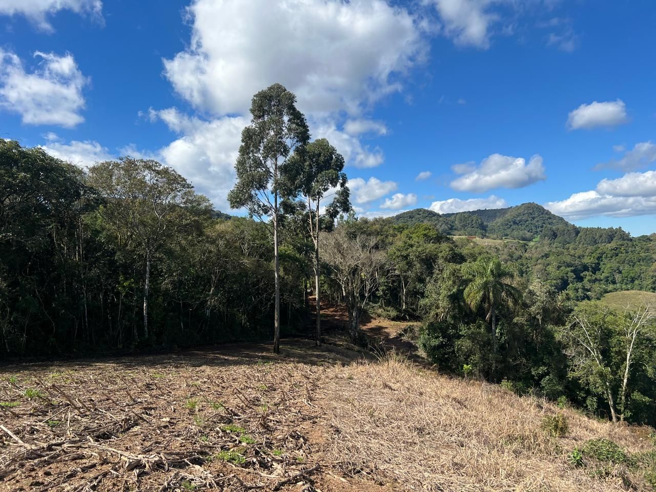 Chácara para venda no bairro Área Rural em Nova Petrópolis