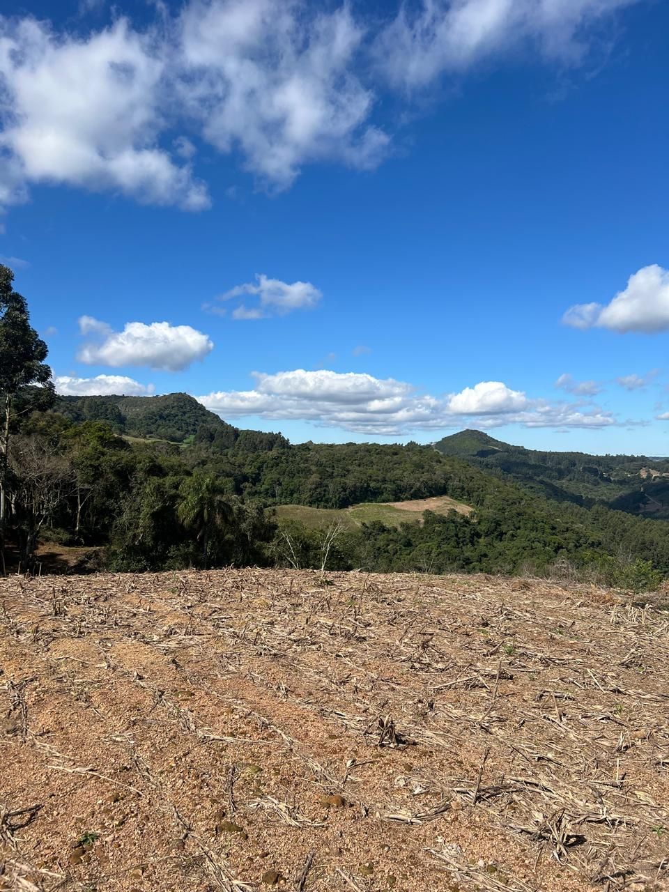 Chácara para venda no bairro Área Rural em Nova Petrópolis