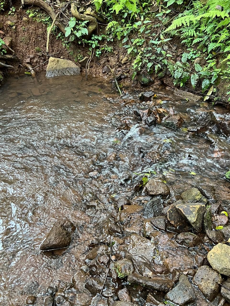 Chácara para venda no bairro Área Rural em Nova Petrópolis