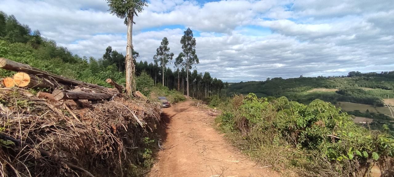 Chácara para venda no bairro Área Rural em Nova Petrópolis