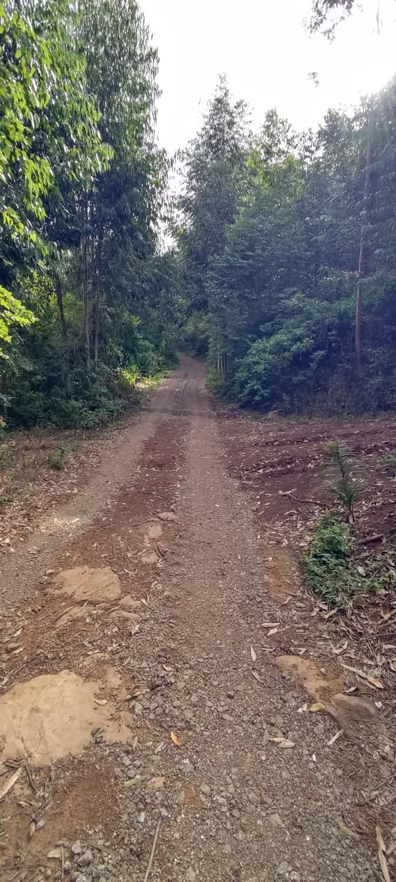 Chácara para venda no bairro Área Rural em Nova Petrópolis