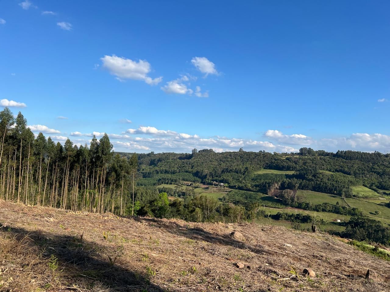 Chácara para venda no bairro Área Rural em Nova Petrópolis