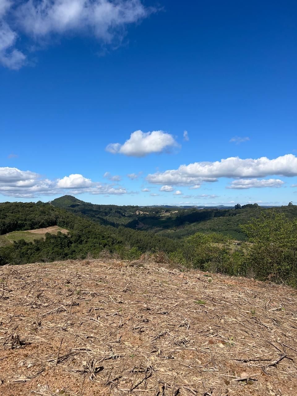 Chácara para venda no bairro Área Rural em Nova Petrópolis