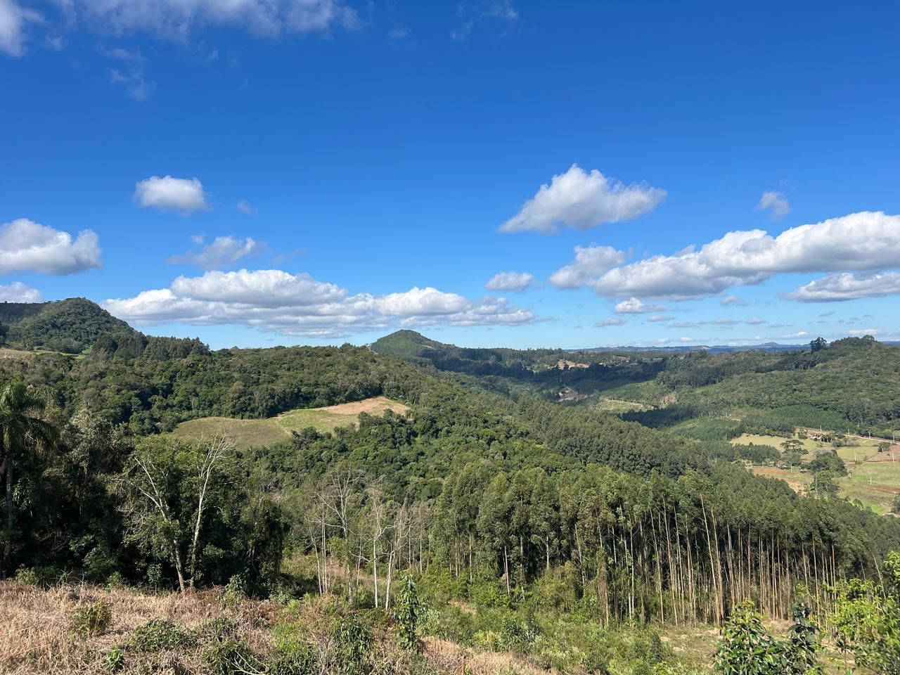Chácara para venda no bairro Área Rural em Nova Petrópolis