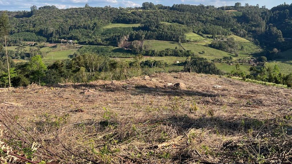 Chácara para venda no bairro Área Rural em Nova Petrópolis