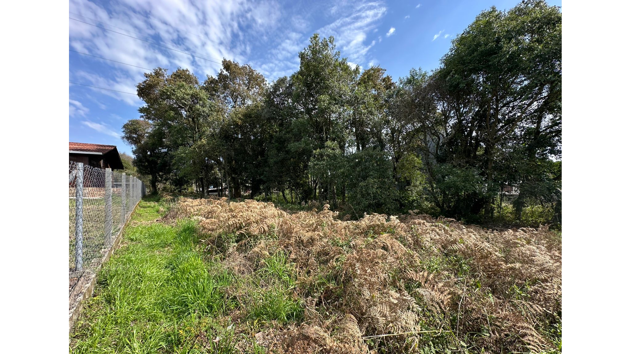 Terreno para venda no bairro São Luiz em Caxias do Sul