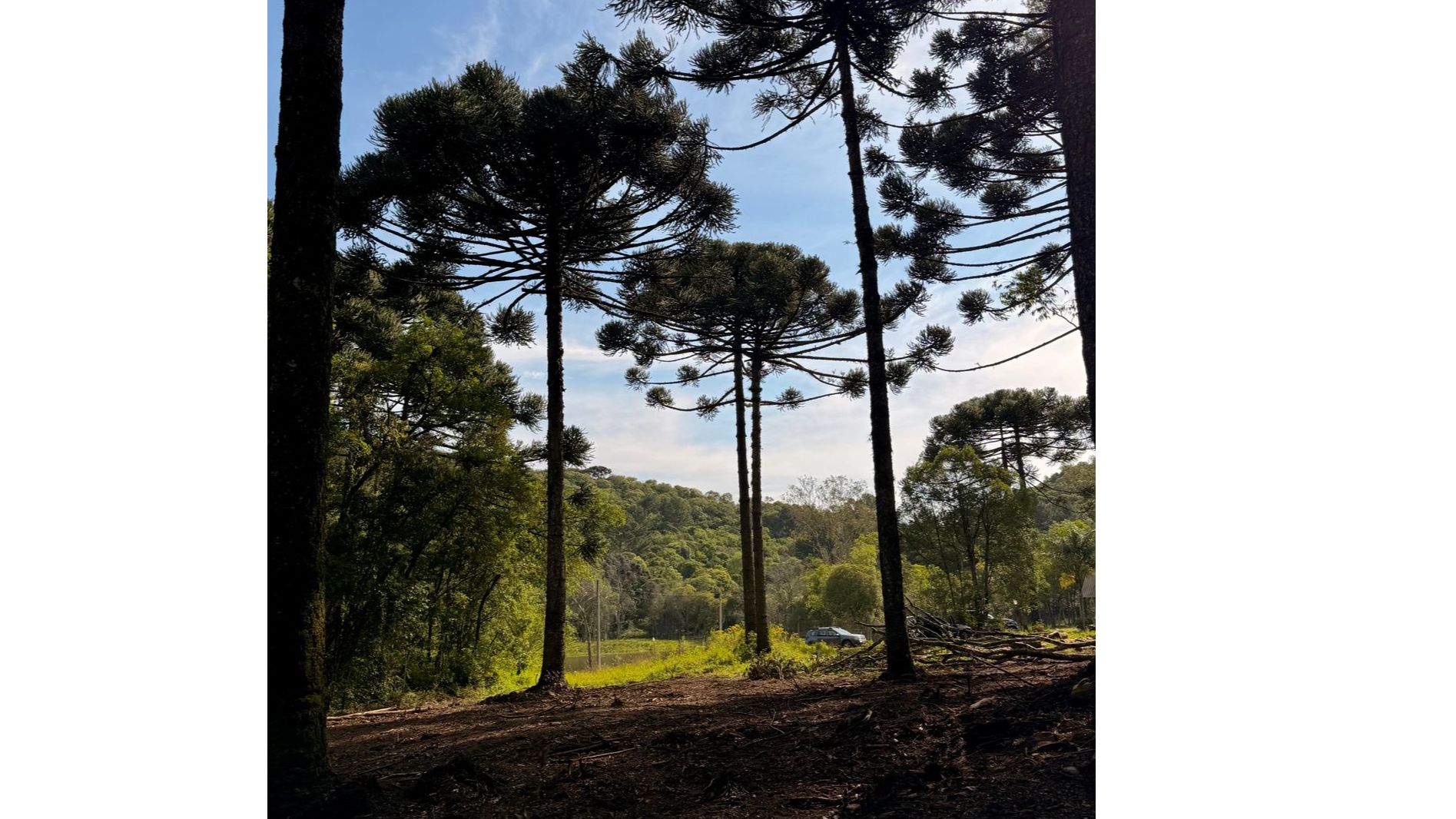 Chácara para venda no bairro Fazenda Souza em Caxias do Sul