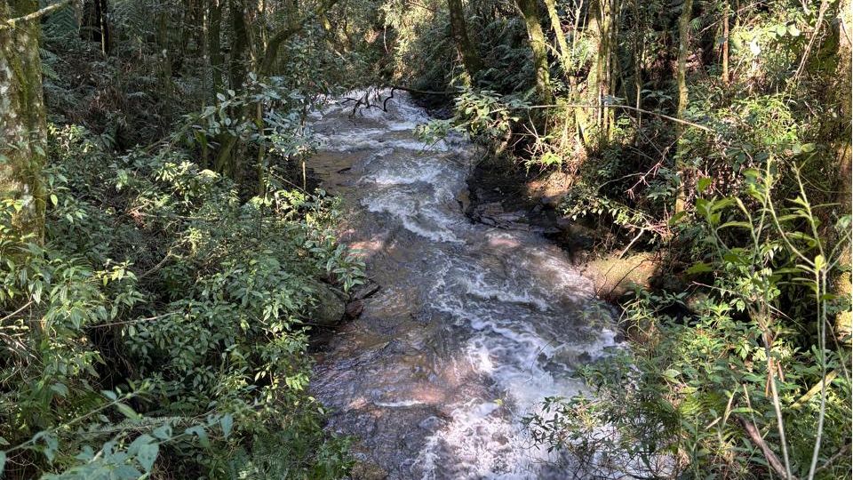 Chácara para venda no bairro Não informado em Caxias do Sul