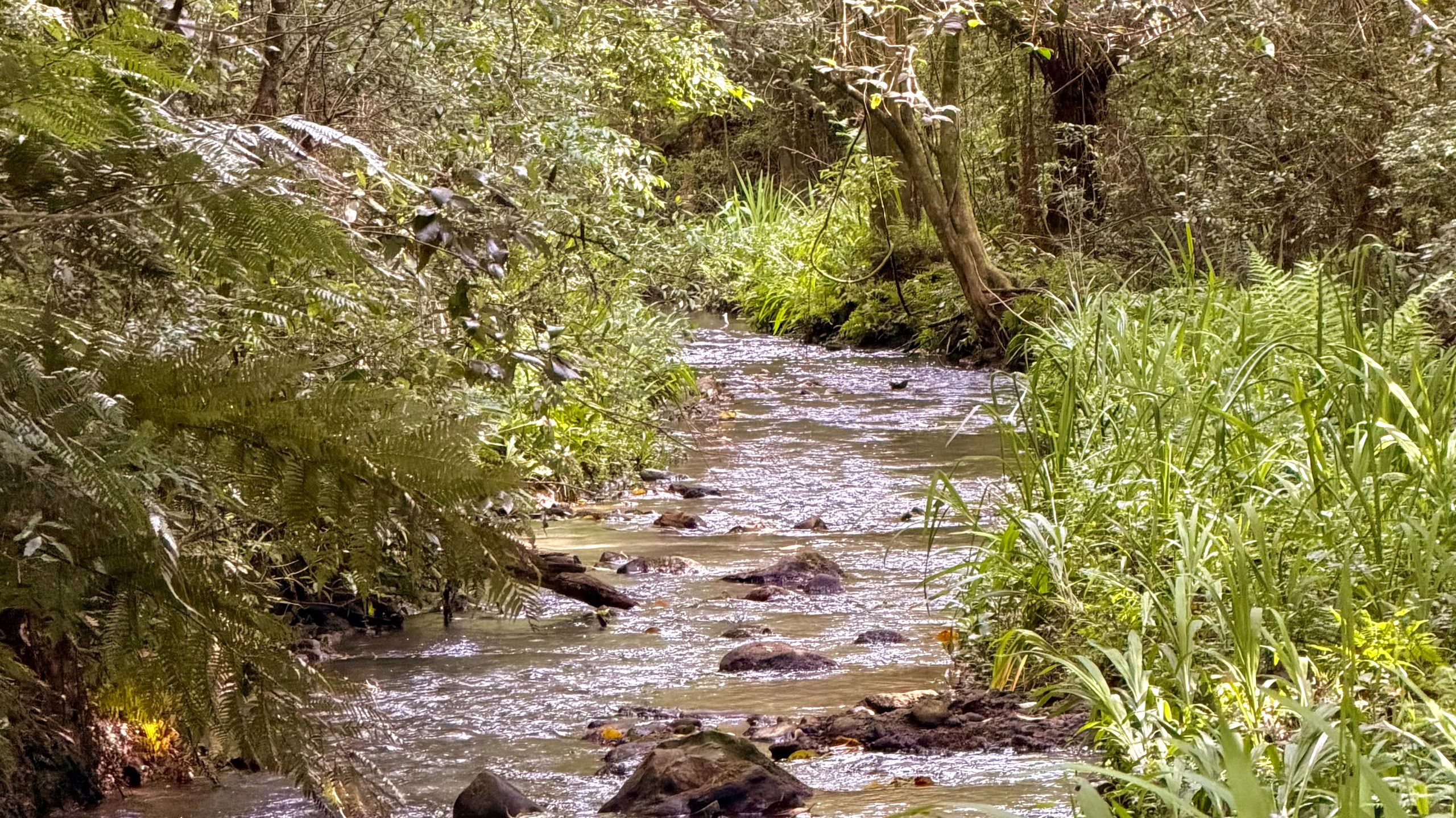 Chácara para venda no bairro Fazenda Souza em Caxias do Sul