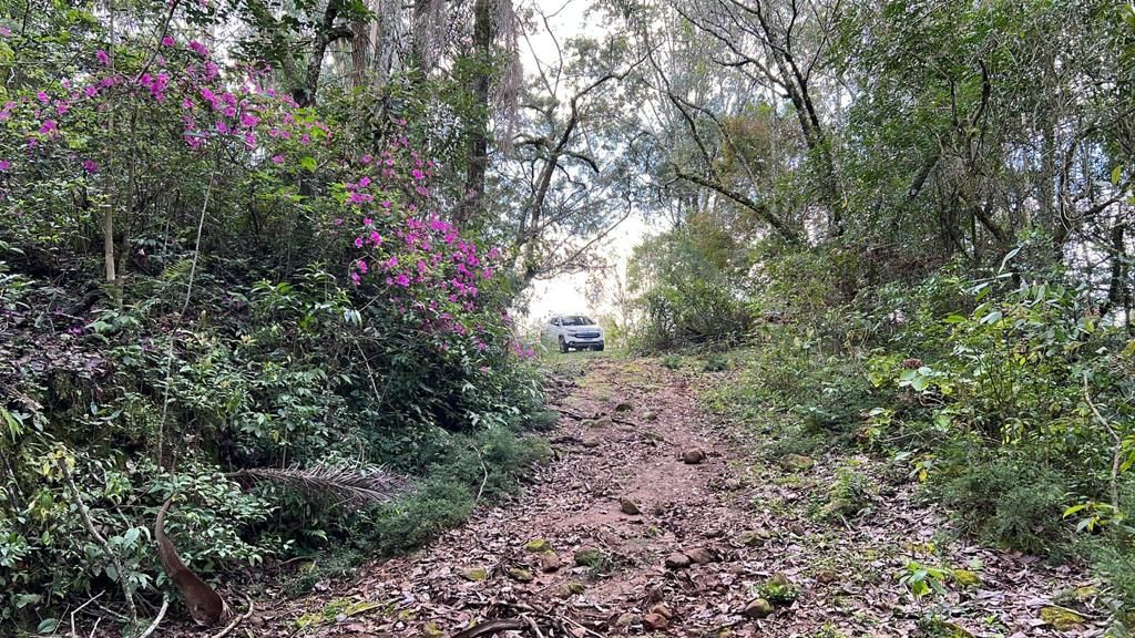Chácara para venda no bairro Centro em Gramado
