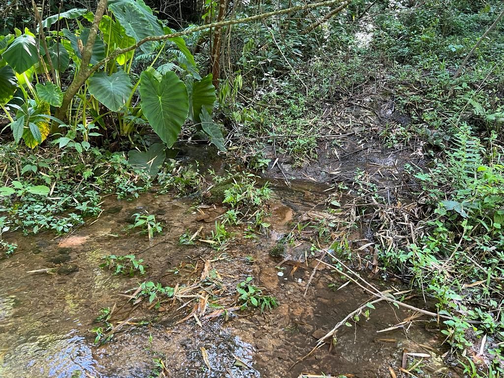 Chácara para venda no bairro Centro em Gramado