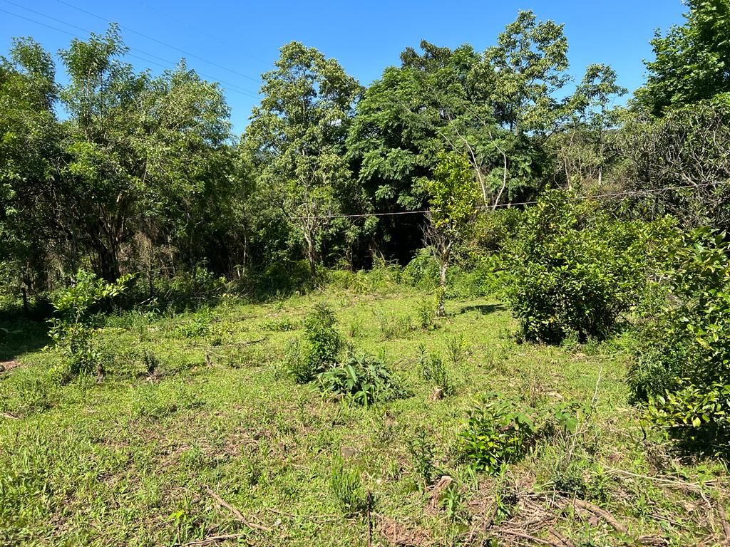 Chácara para venda no bairro Centro em Gramado