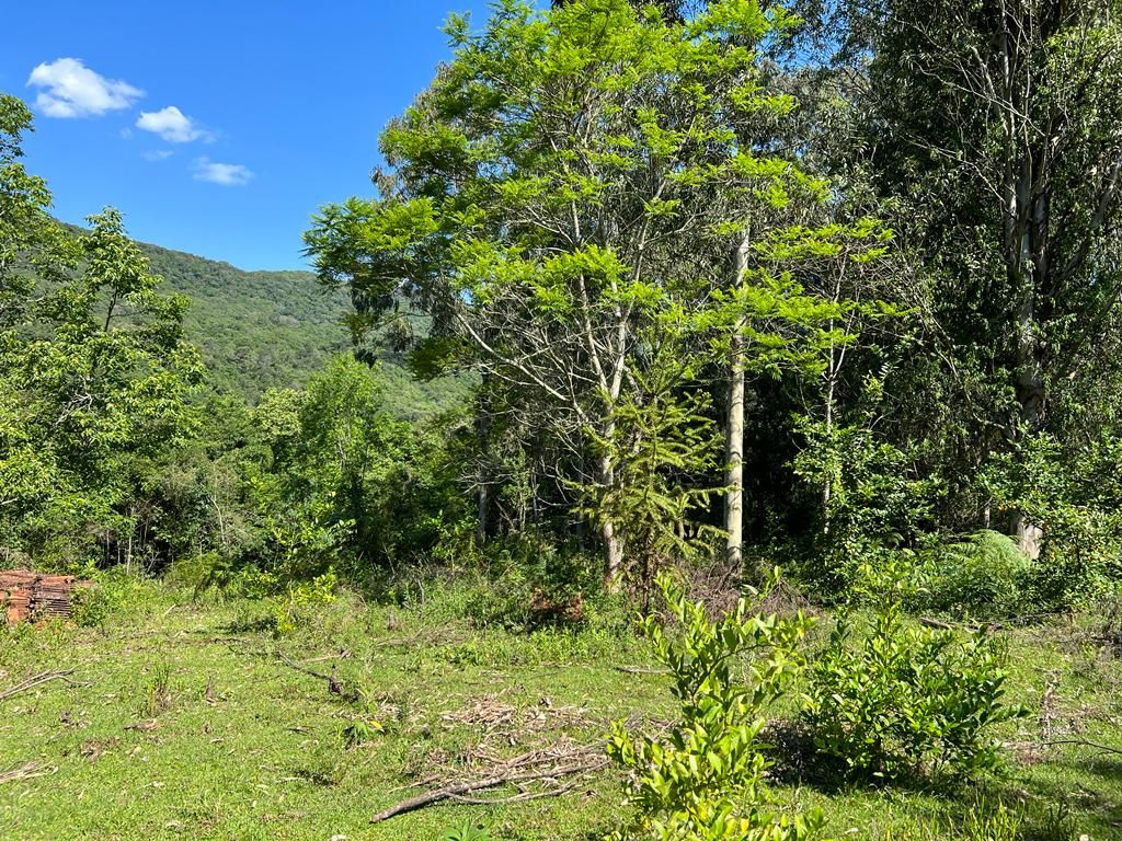 Chácara para venda no bairro Centro em Gramado