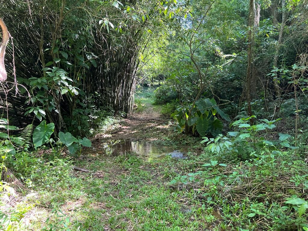 Chácara para venda no bairro Centro em Gramado