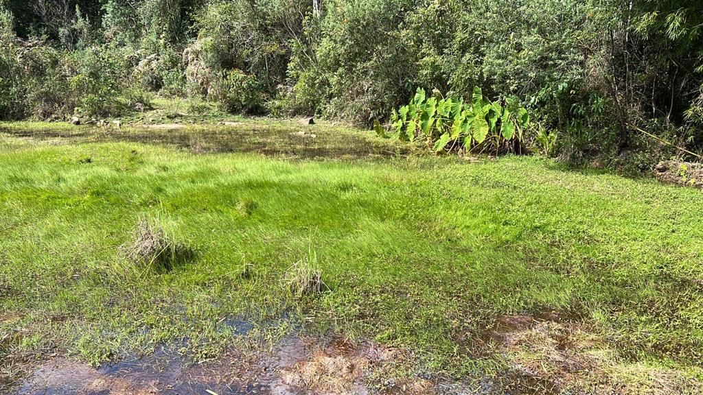 Terreno para venda no bairro Carazal em Gramado