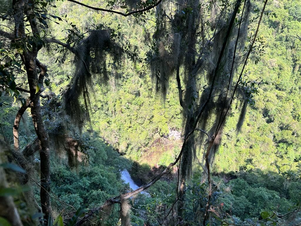 Terreno para venda no bairro Carazal em Gramado