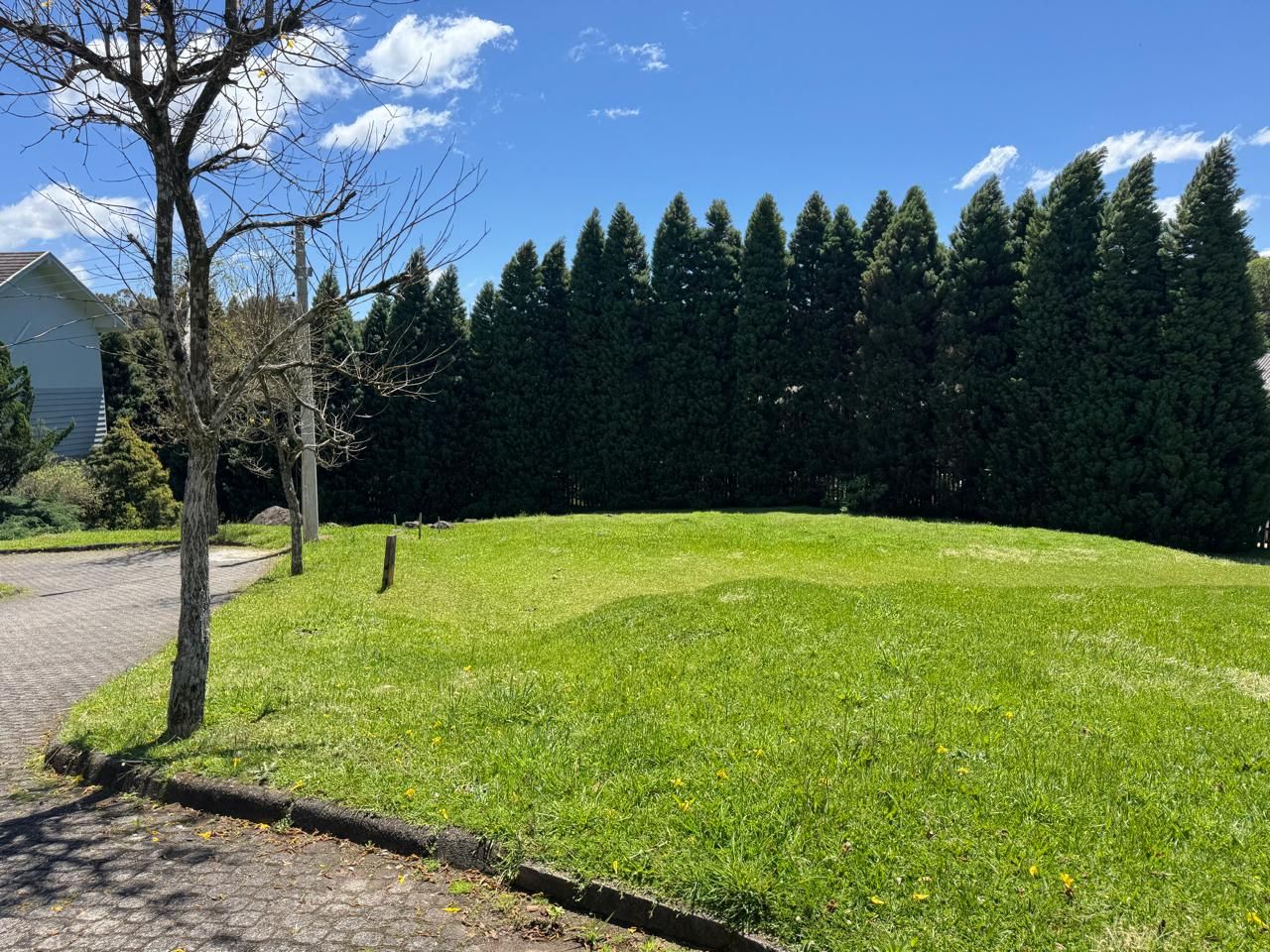 Terreno para venda no bairro Lagos do Bosque em Gramado