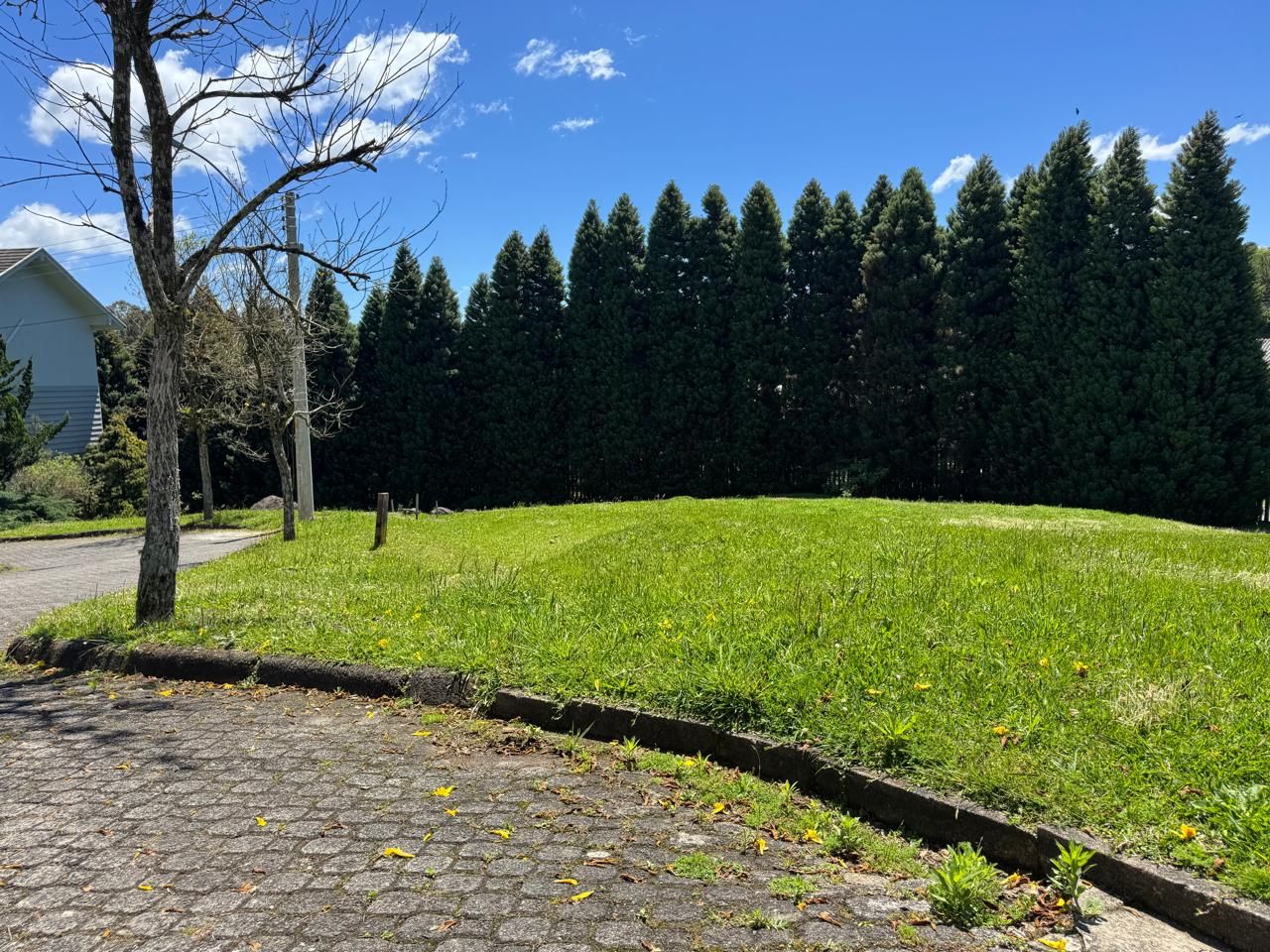 Terreno para venda no bairro Lagos do Bosque em Gramado