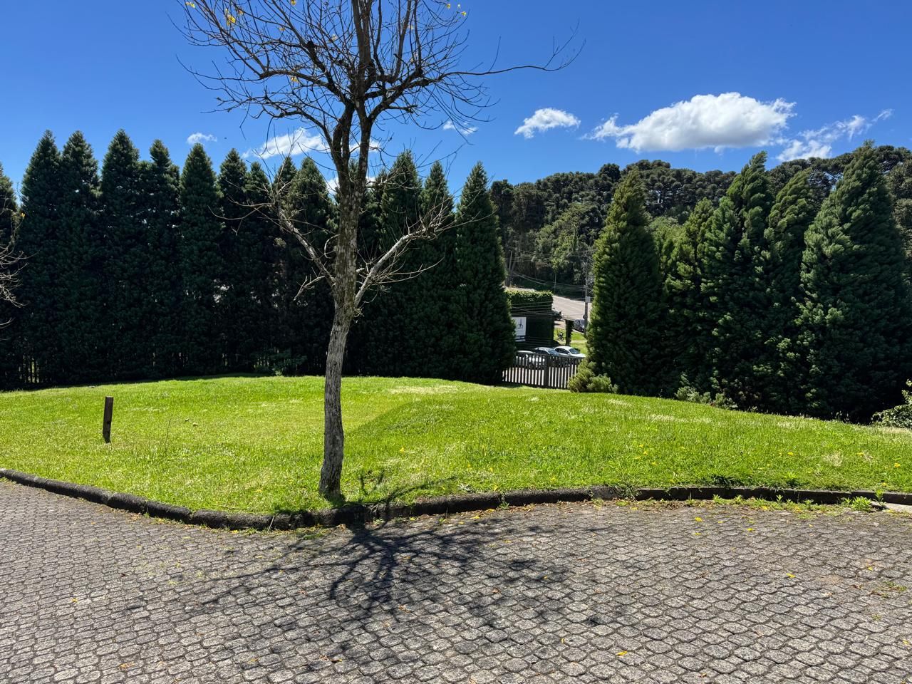 Terreno para venda no bairro Lagos do Bosque em Gramado