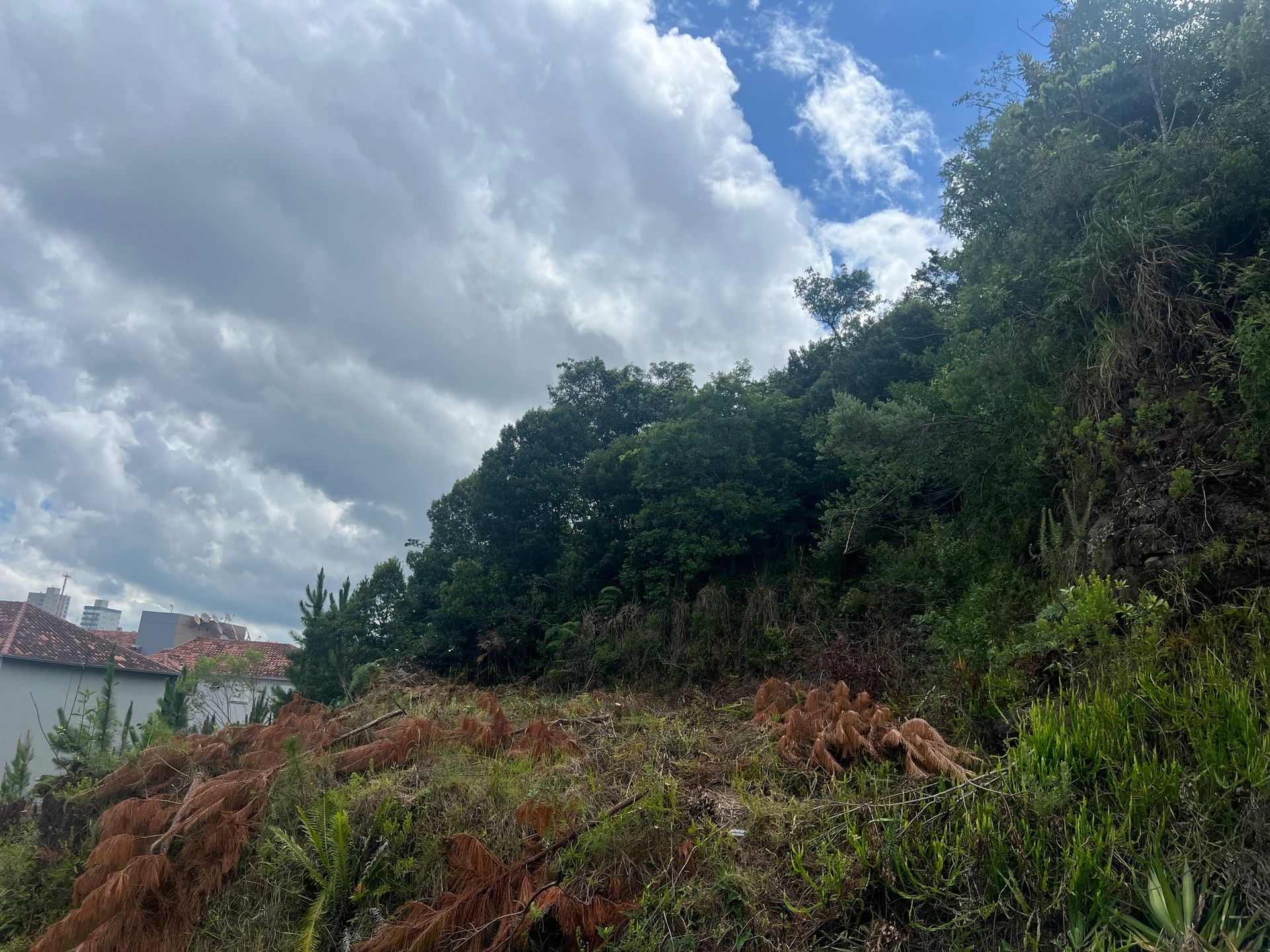 Terreno Padrão para venda no bairro Cidade Alta  em Bento Gonçalves