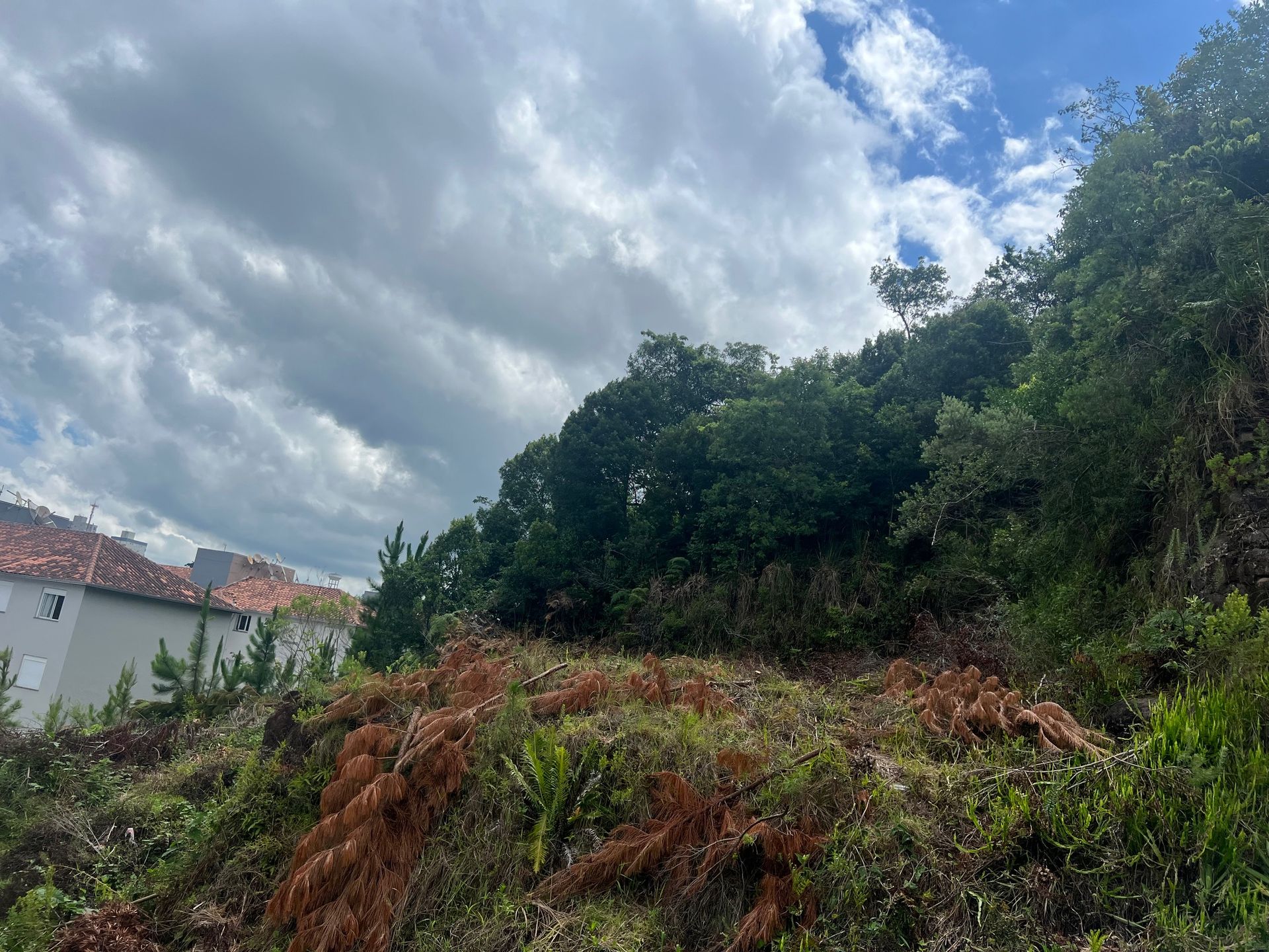 Terreno Padrão para venda no bairro Cidade Alta  em Bento Gonçalves