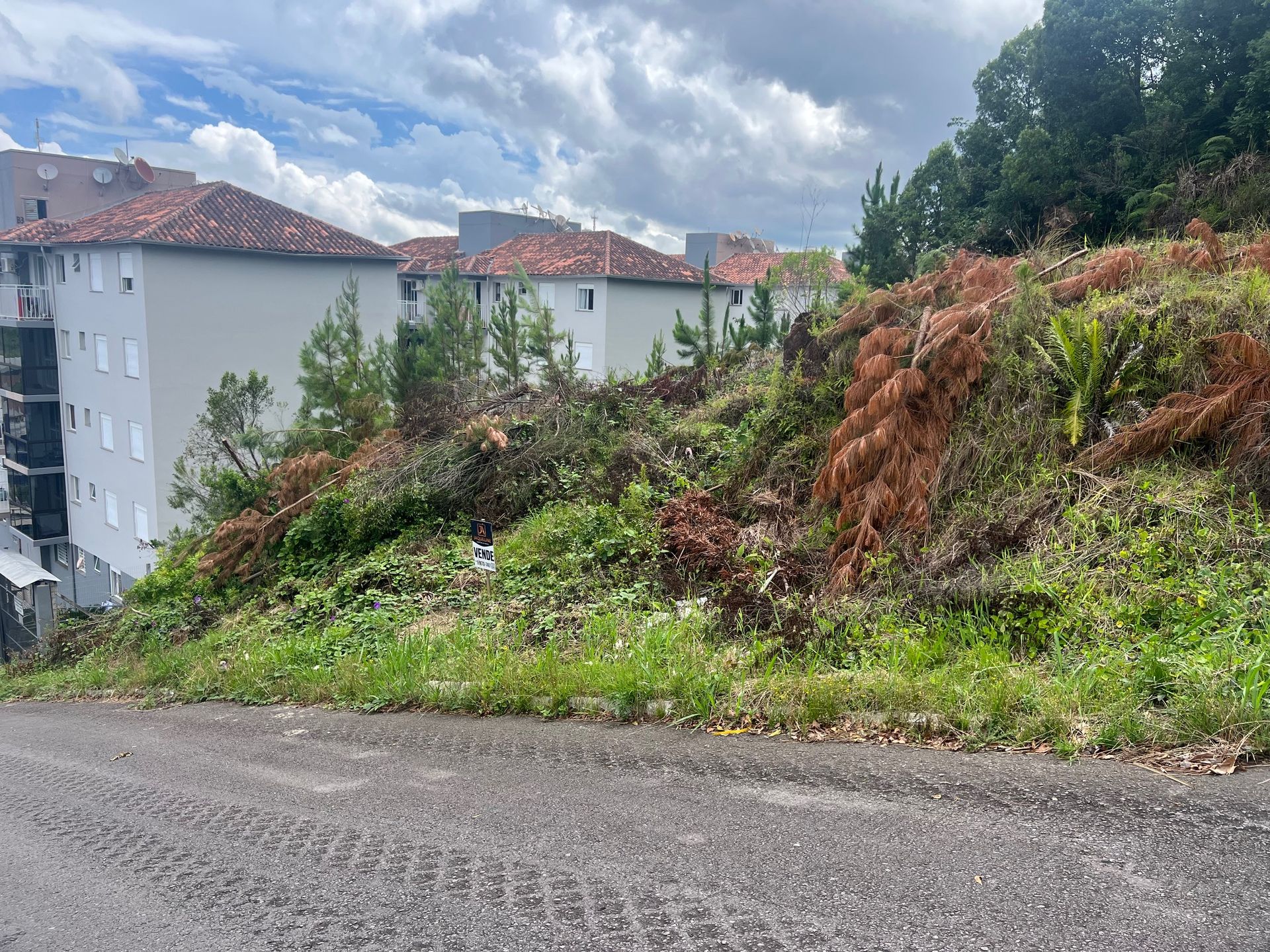 Terreno Padrão para venda no bairro Cidade Alta  em Bento Gonçalves