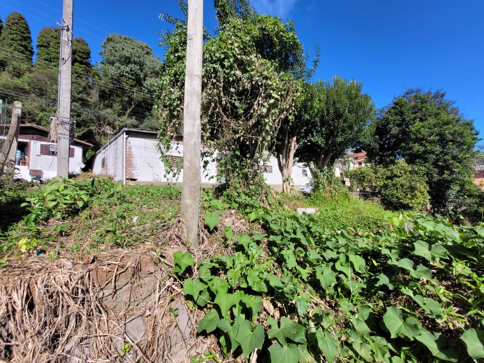 Lote para venda no bairro Piratini em Gramado