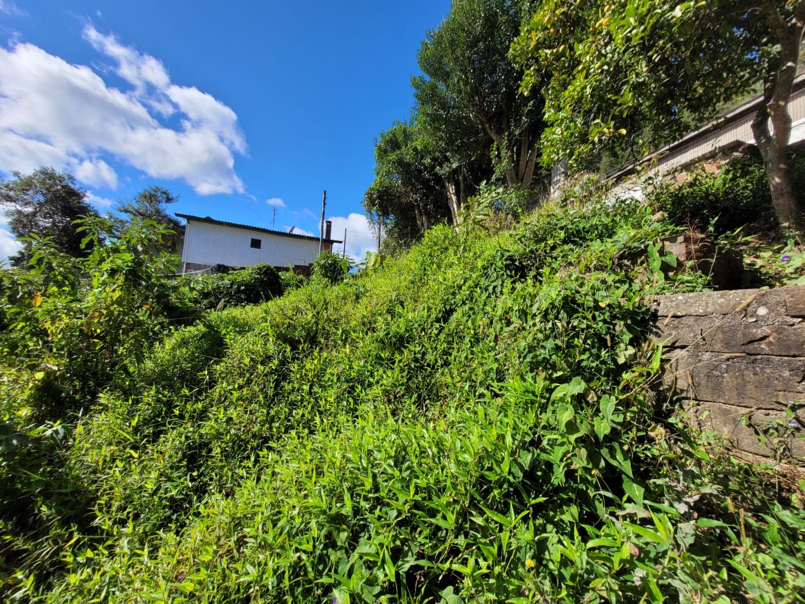 Lote para venda no bairro Piratini em Gramado