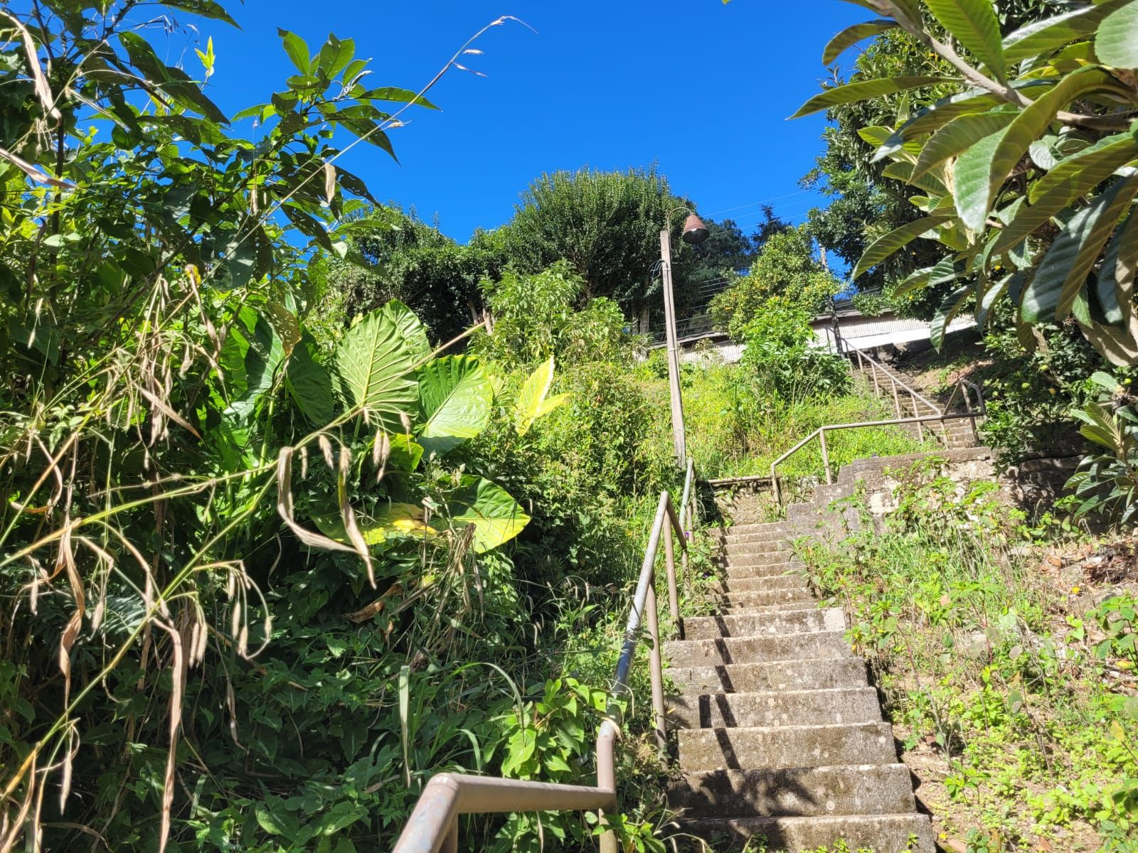Lote para venda no bairro Piratini em Gramado